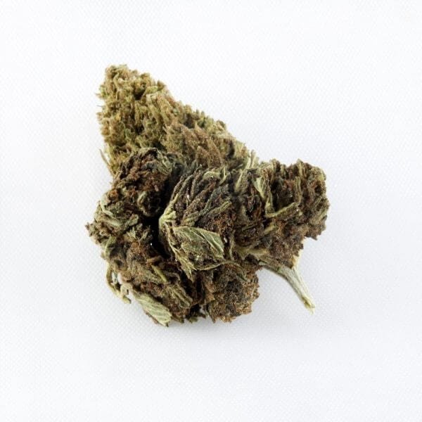 Sweet CBD Strain