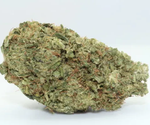 Hawaiian Haze Flower