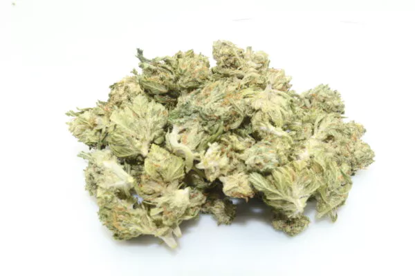 CBG White