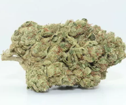 Sour Diesel strain