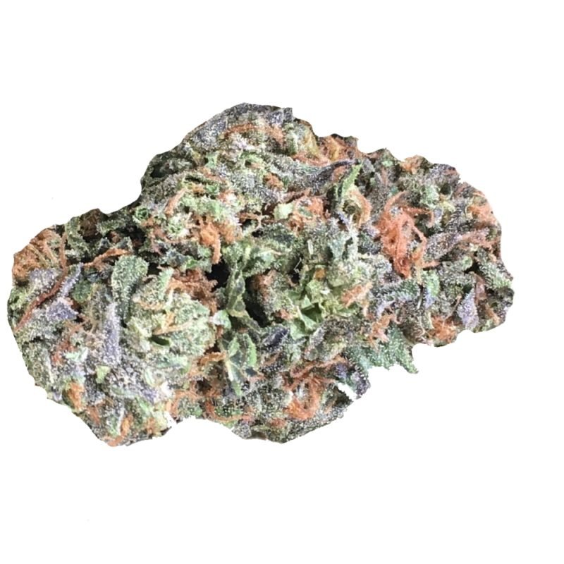 biscotti strain