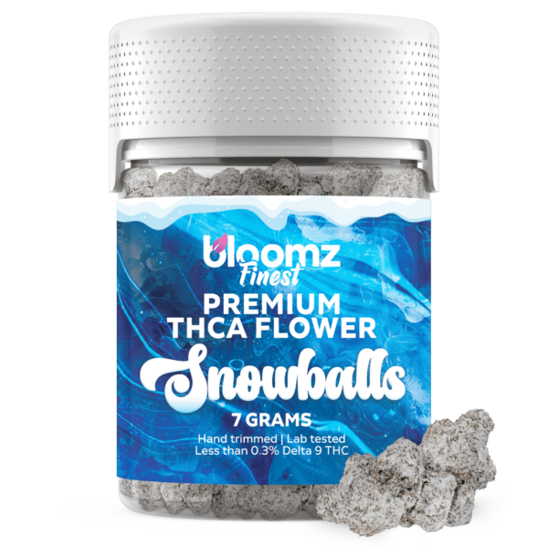 Bloomz Finest