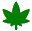 cannabis