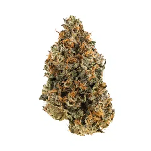 Breadstix Strain